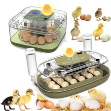 24x Eggs Incubator Temperature