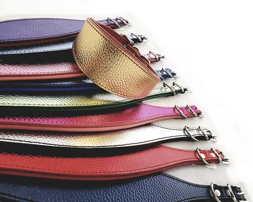 Luxury foil leather dog collar - foil,