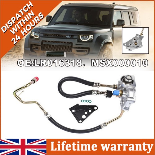 Fuel pressure regulator gasket - fuel,