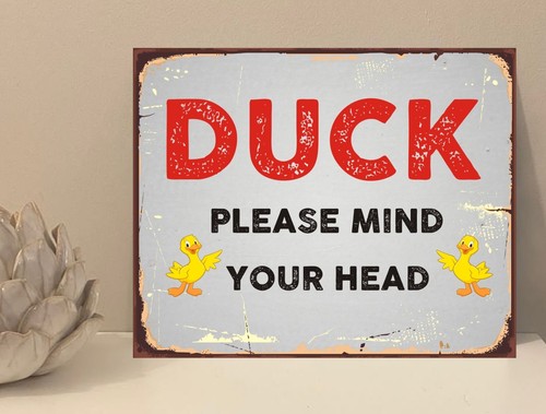 Duck mind your head - head,