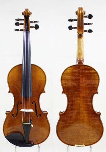 Strings violin violino copy - 5, violino!copy