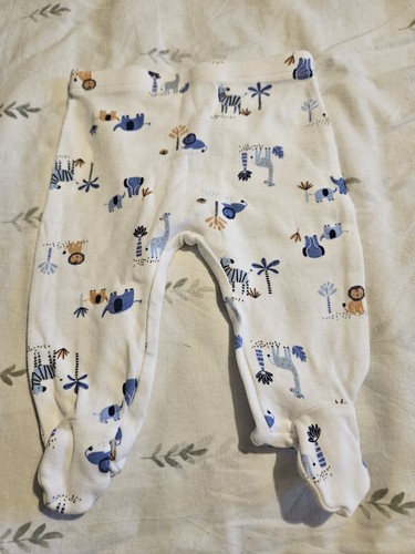 Baby boy jungle animal - baby,