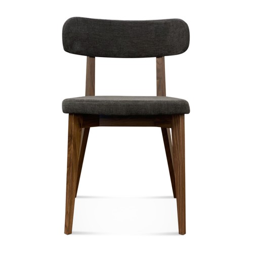 Modern walnut dining chair - modern,