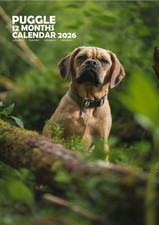 Puggle A3 2026 Calendar