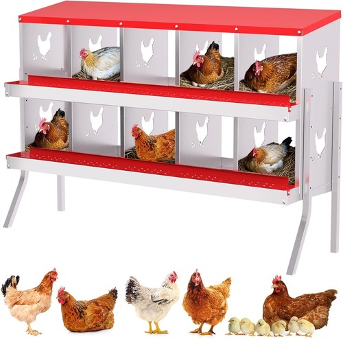 Holes chicken nesting - 6/10,
