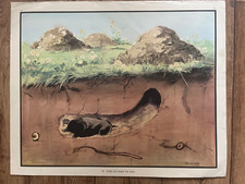 Eileen Soper Vintage School