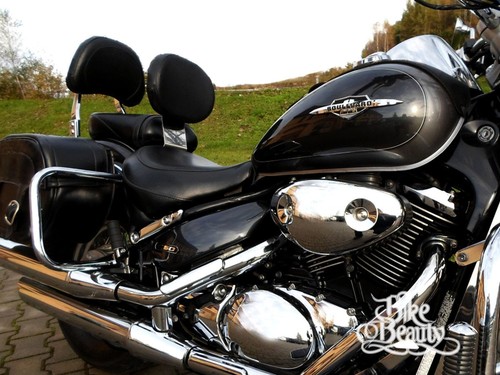 Driver rider backrest - driver,