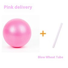 25cm Mini Yoga Ball Pilates