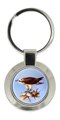 Osprey key ring - osprey,