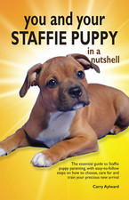 You and Your Staffie Puppy in