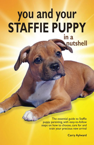 You and your staffie - puppy, in