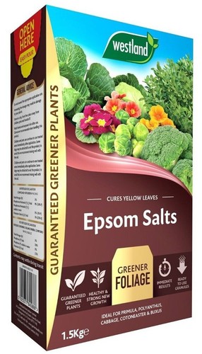 Garden lime epsom salts - epsom,