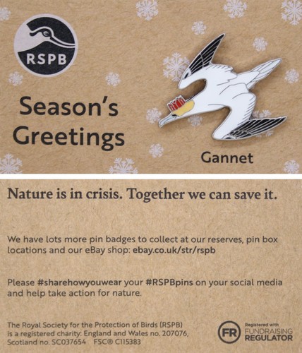 Rspb pin badge - badge, special