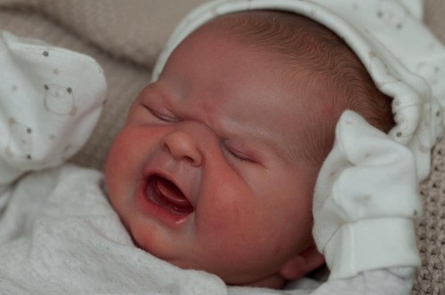 19inch reborn doll - doll, 'baby's