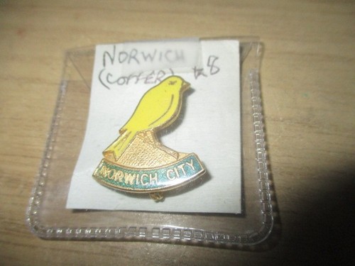 Norwich city coffer - city,