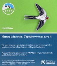RSPB Pin Badge New Brand NIIC Swallow P03091