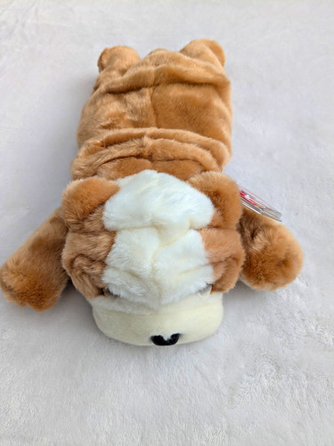 Beanie buddy wrinkles - ty,