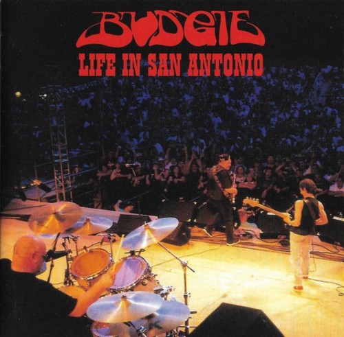 Live san antonio budgie - by,