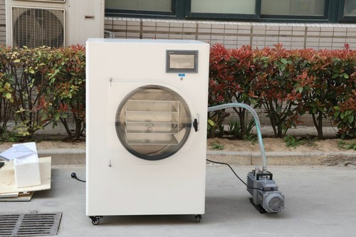 Vacuum freeze dryer - vacuum,
