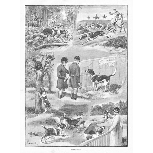 Fox hunting kennel hopes - hopes,