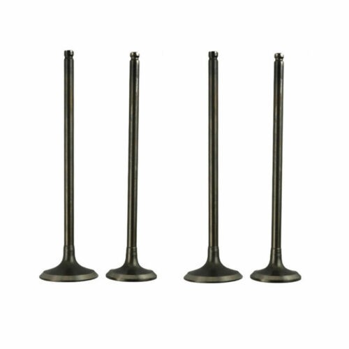 Pair intake exhaust valves - intake,