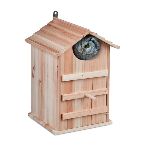 Owls nesting box owl - , birdhouse