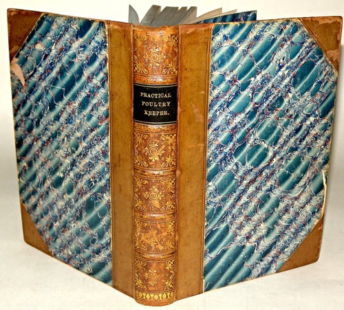 Lewis wright practical poultry - lewis,