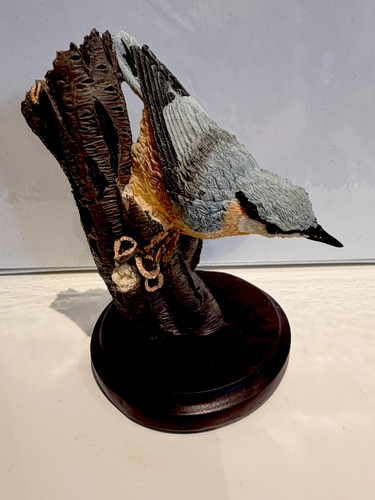 The country bird - bird, collection