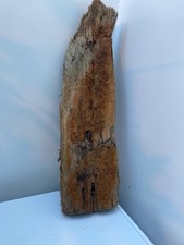 Large Driftwood Piece ideal