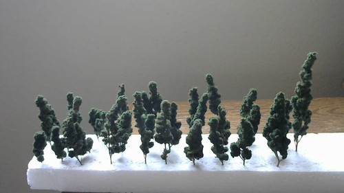 Scale trees green and dull - n,