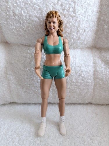 Wwe the fabulous moolah - wwe,
