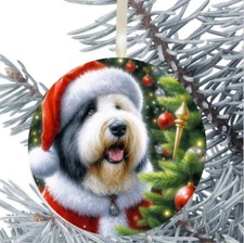 Old English Sheepdog Dog