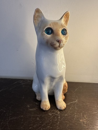 Winstanley siamese cat sitting - siamese,