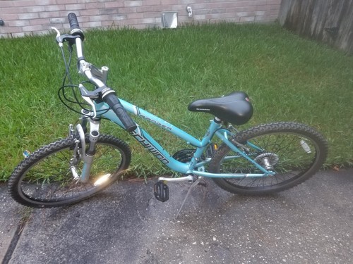 Schwinn ranger ladies bicycle - schwinn,