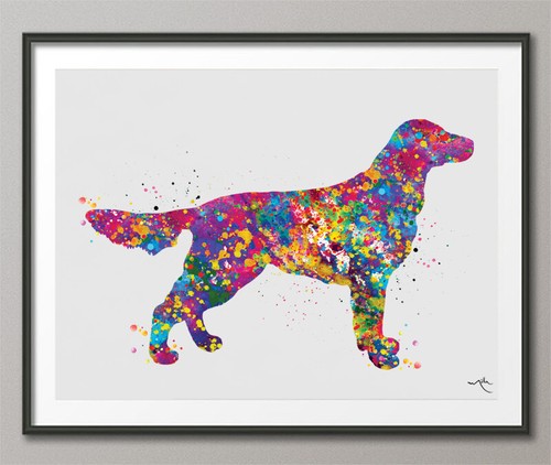 Flat coated retriever - coated,