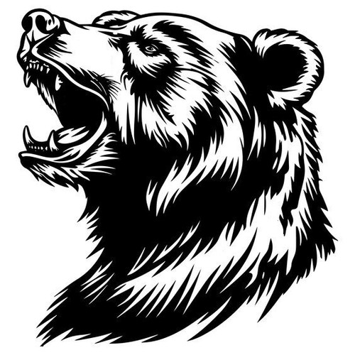 Large wild bear car camper - car,