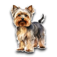 Cute Yorkshire Terrier Puppy Dog Watercolour Animal Vinyl Sticker Decal 105x78mm