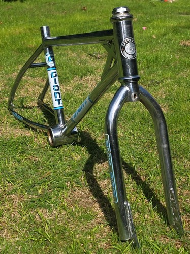 Giant gmx 300 - gmx, frame