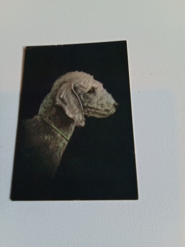 Vintage postcard the - -,