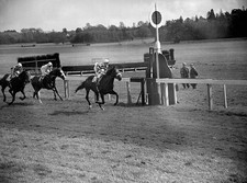 Sovrango ridden by Lester