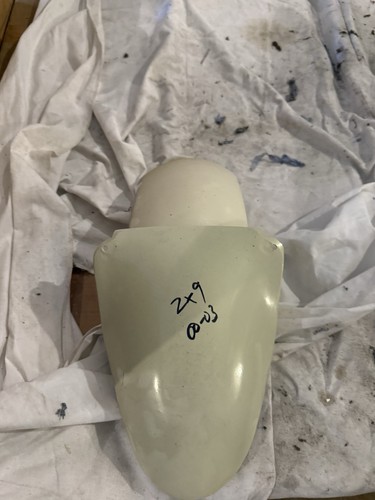 Kawasaki zx9 2000 2003 - 2000-2003, front