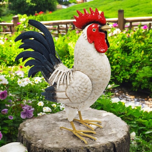 Large white cockerel - large, garden