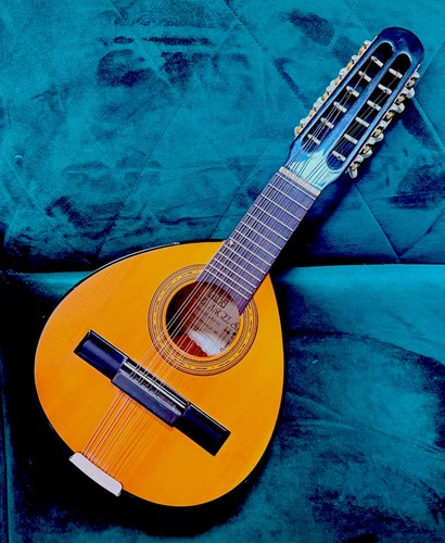 Spanish string bandurria - spanish, 12