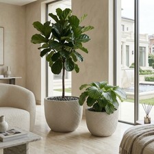 Set of 2 Large Handmade Round