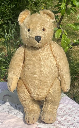 Old 1950 steiff bear - 1950's,