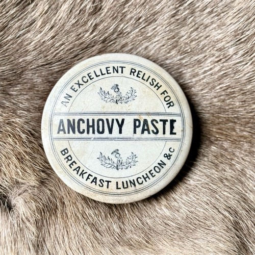 Antique anchovy paste - anchovy, lid