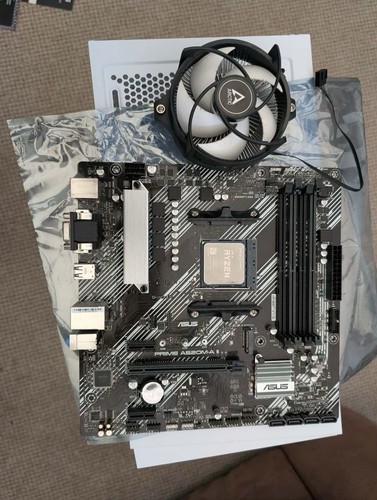 Ryzen 5500 16gb - 5500,, asus