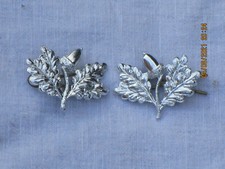 South Nottinghamshire Hussars