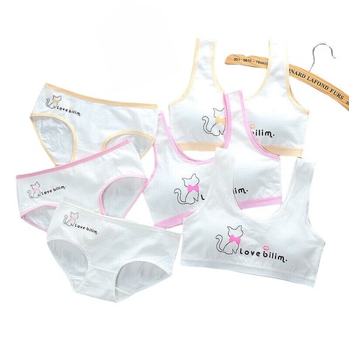 Brief and bra - brief,