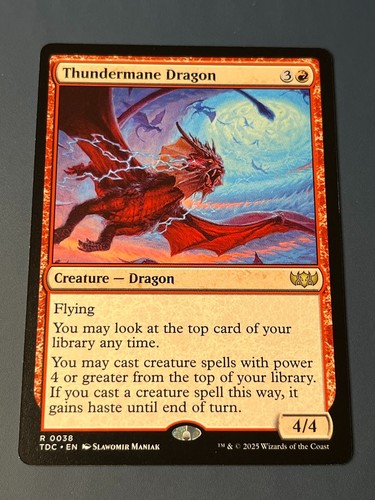 Thundermane dragon - thundermane,